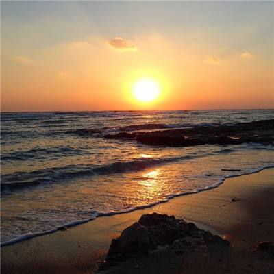 球探比分旧版大全下载手机版